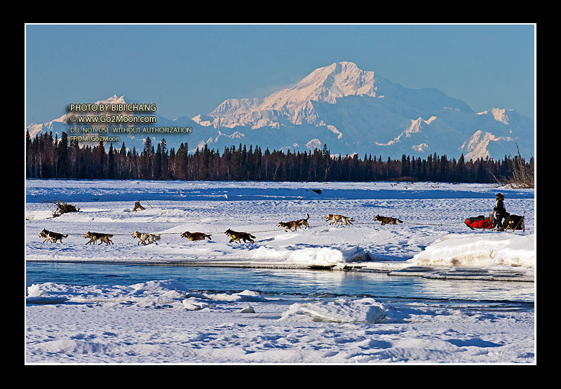 Elliot Anderson Iditarod