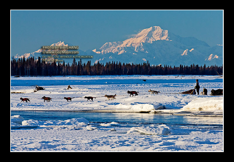 Ken Anderson Iditarod