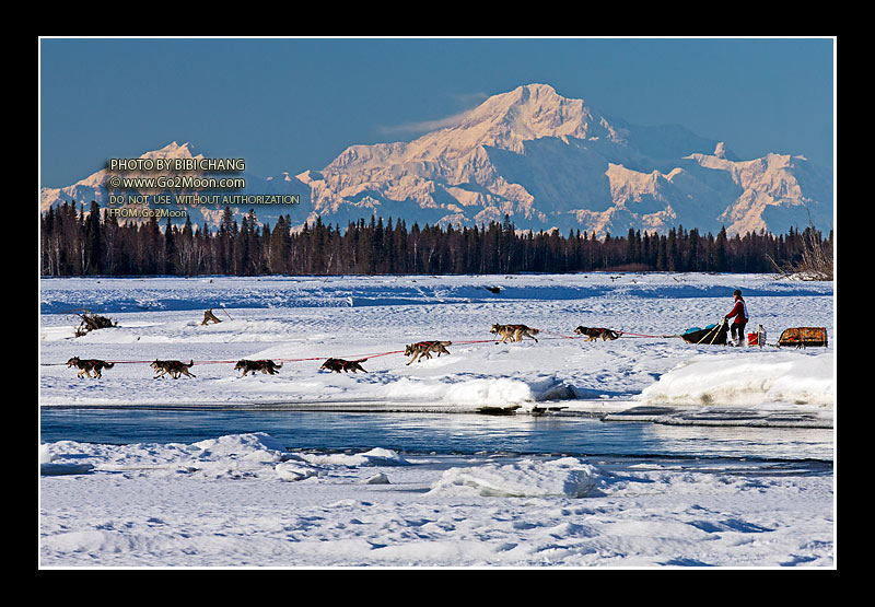 Kristin Bacon Iditarod