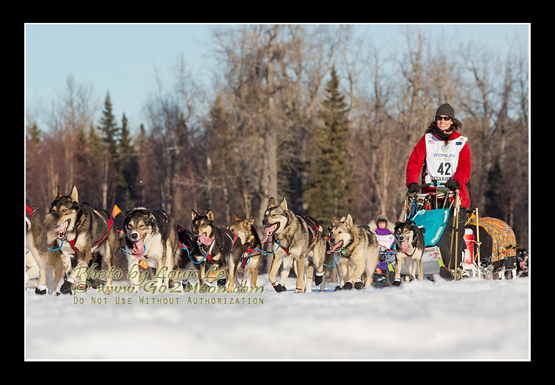 Kristin Bacon Iditarod