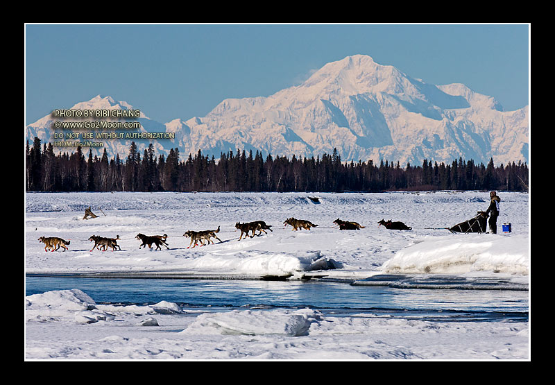 Jodi Bailey Iditarod