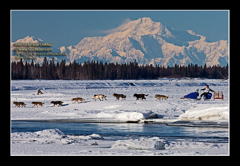 Travis Beals Iditarod