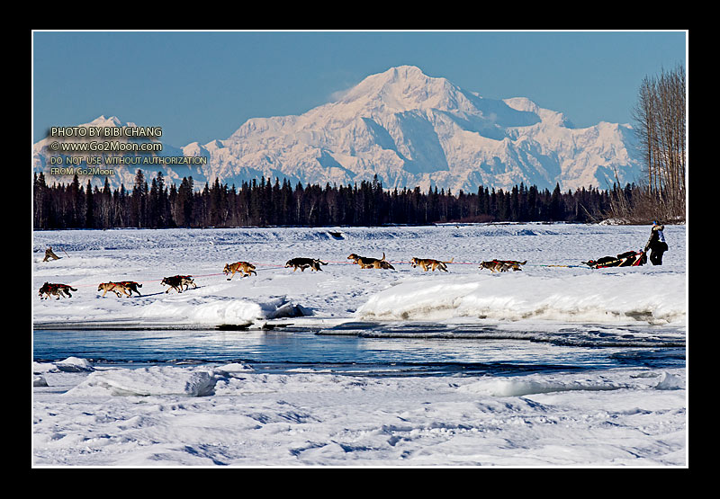 Anna Berrington Iditarod
