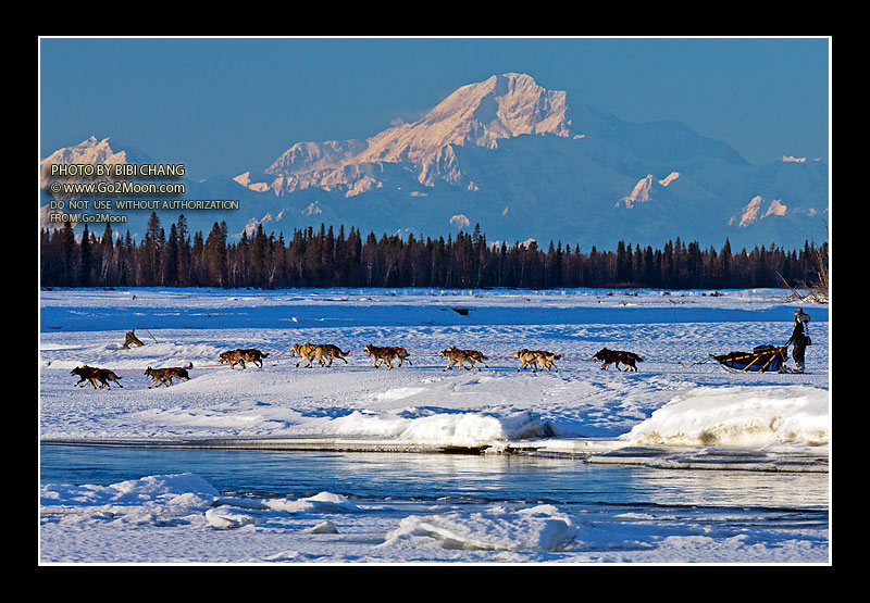 Kristy Berington Iditarod