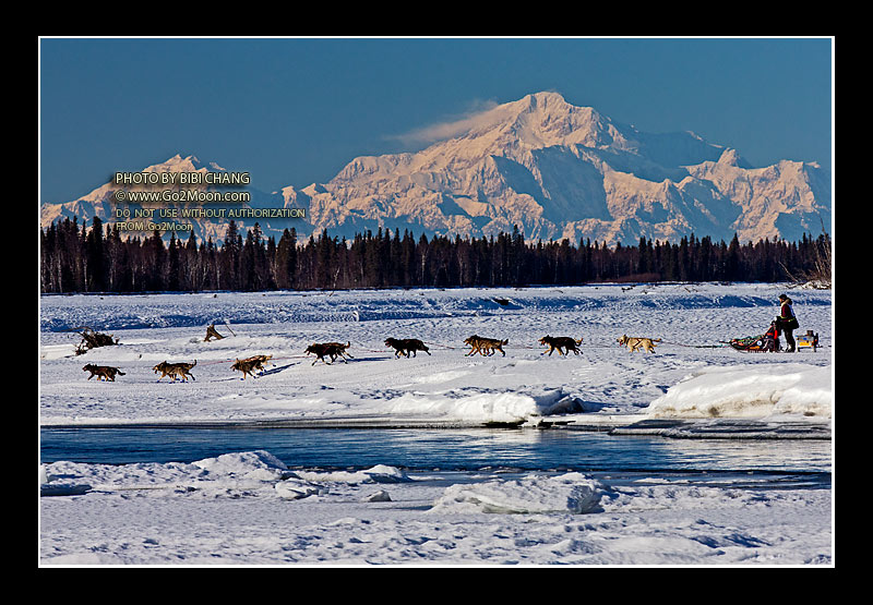 Noah Burmeister Iditarod
