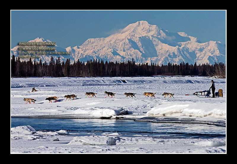 Jason Campeau Iditarod