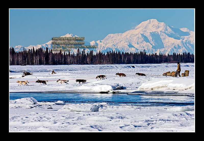 Rick Casillo Iditarod