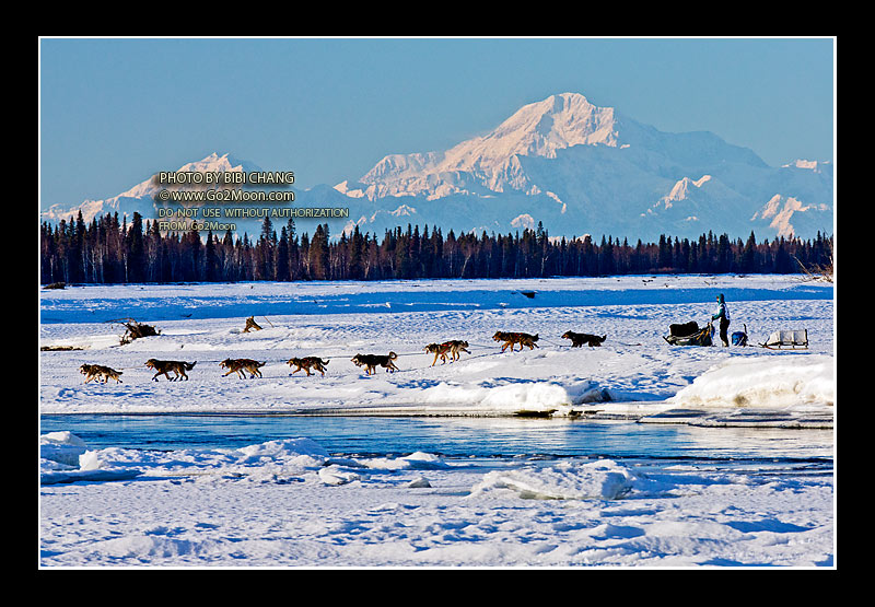 Paige Drobny Iditarod