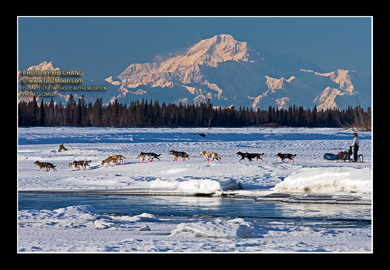 Matt Failor Iditarod