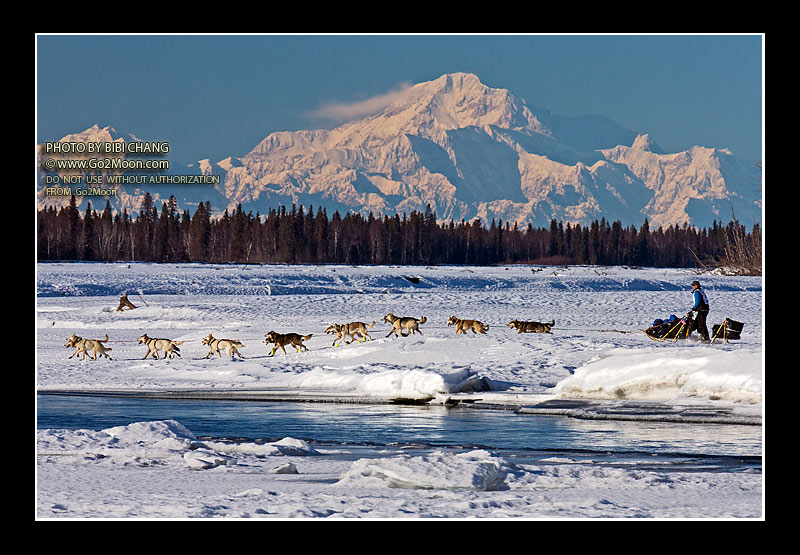 Linwood Fiedler Iditarod