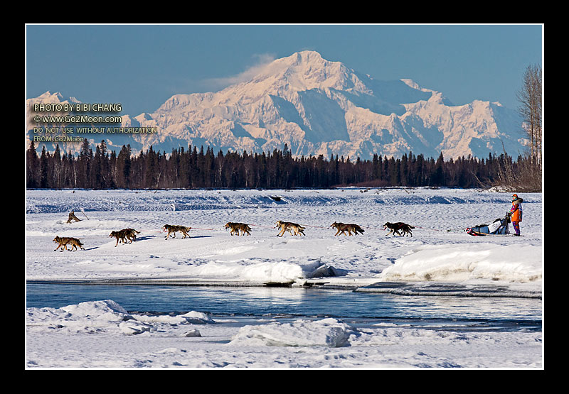 Kim Franklin Iditarod