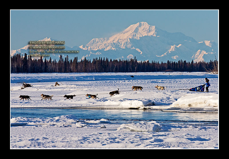 Cindy Gallea Iditarod