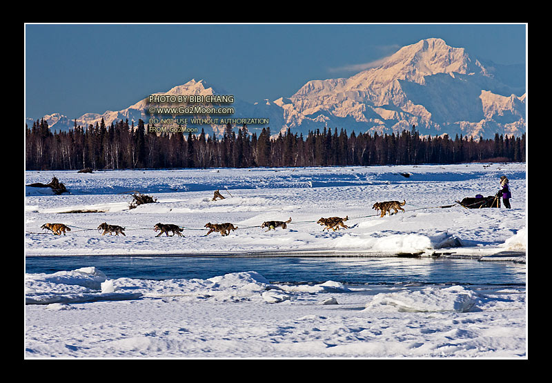 Mary Helwig Iditarod