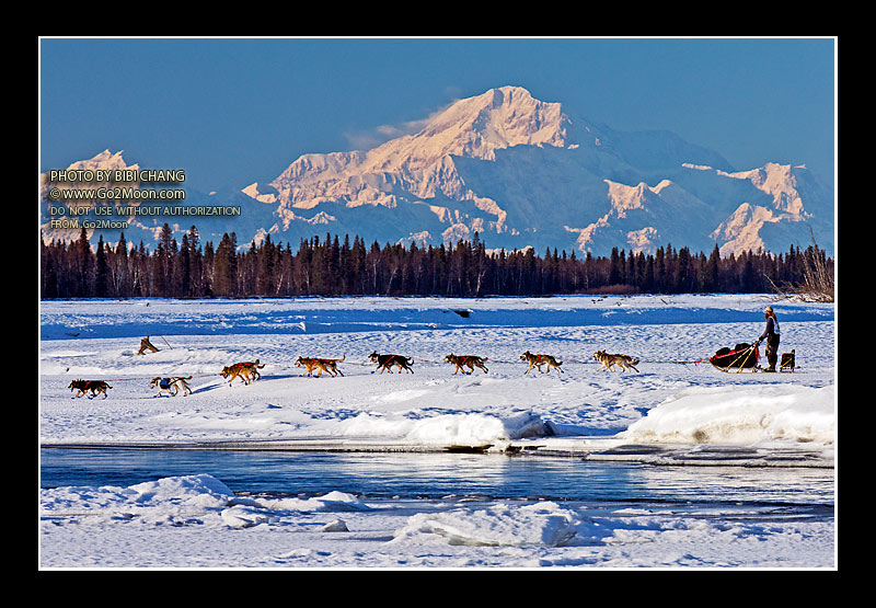 Trent Herbst Iditarod