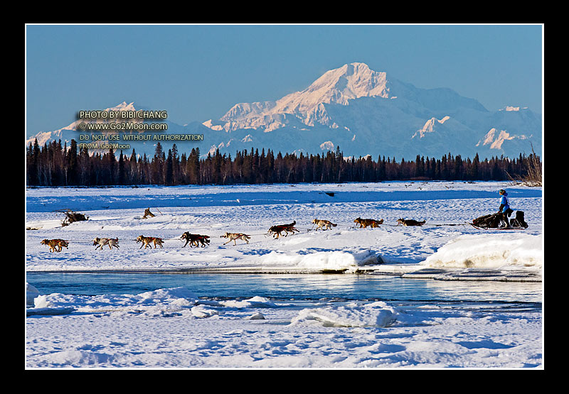 Geir Idar Hjelvik Iditarod