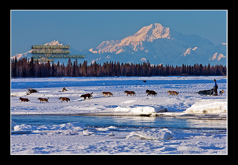 Tom Jamgochian Iditarod