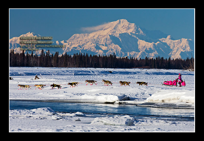 Denali and DeeDee Jonrowe