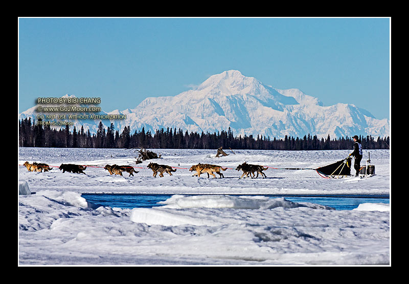 Peter Kaiser Iditarod