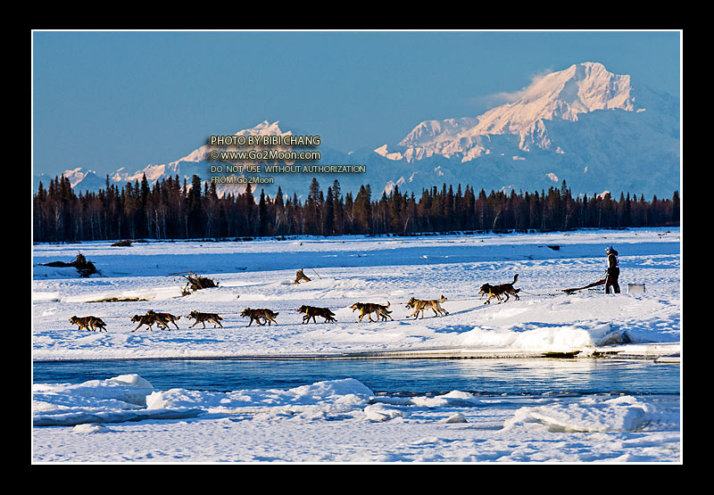 Katherine Keith Iditarod