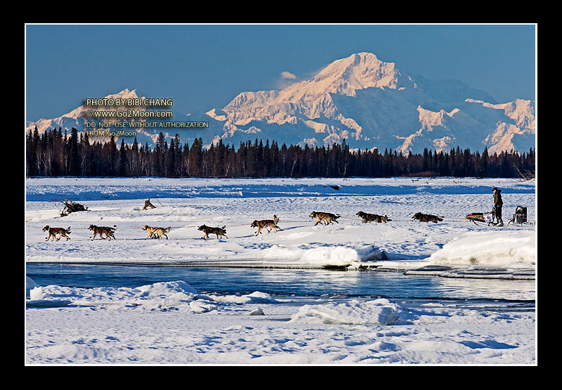Jeff King Iditarod