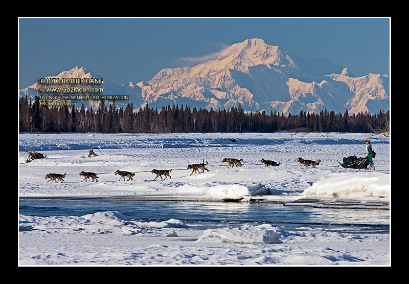 Kristin Knight Pace Iditarod