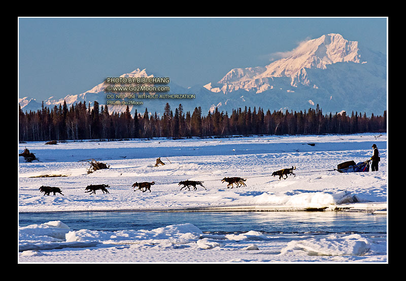 Martin Koenig Iditarod