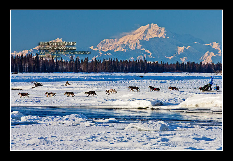 Jason Mackey Iditarod