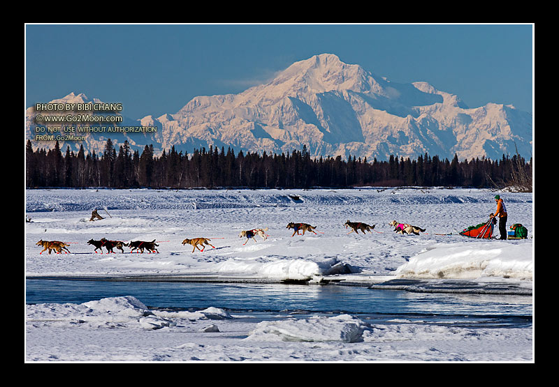 Kelly Maixner Iditarod