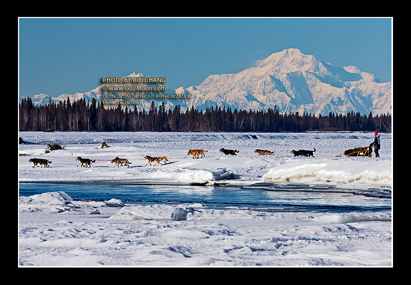 Becca Moore Iditarod