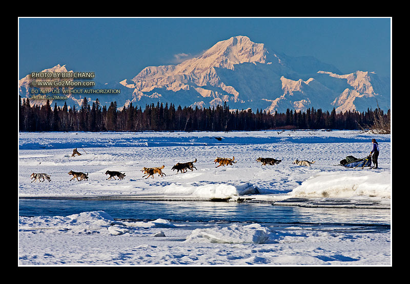 Ryne Olson Iditarod