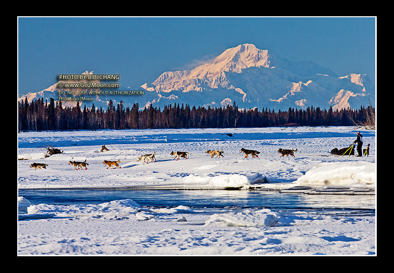 Miriam Osredkar Iditarod