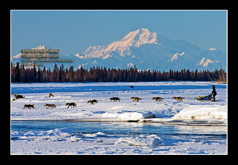 Melissa Owens Iditarod