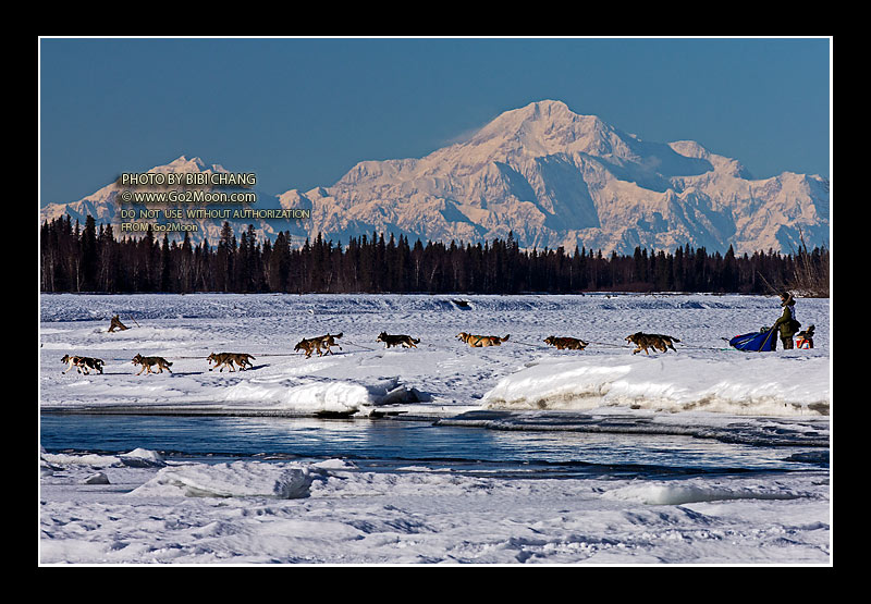 Noah Pereira Iditarod