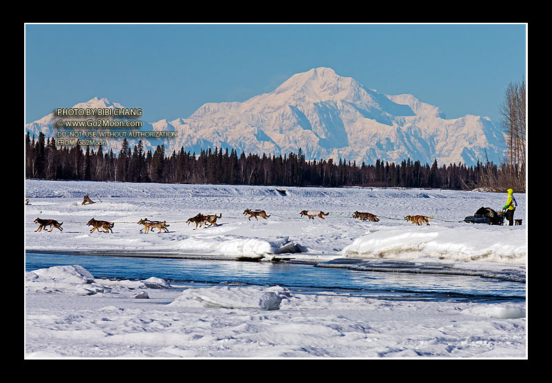 Nicolas Petit Iditarod