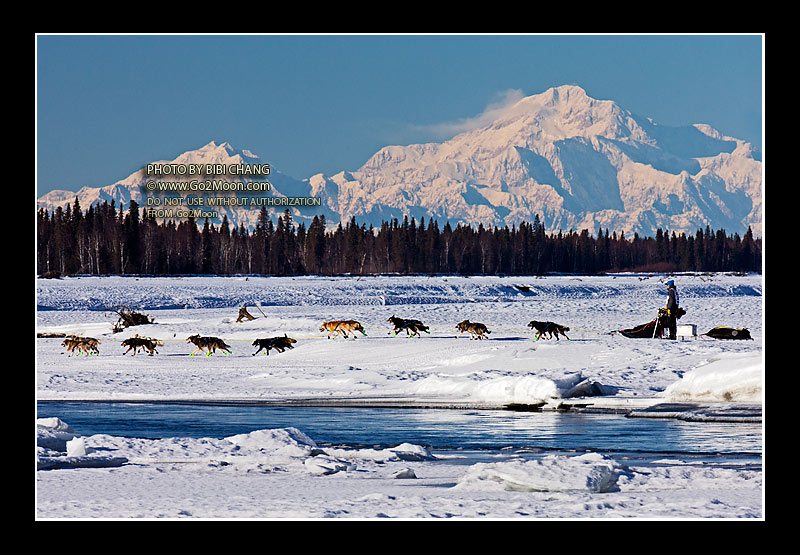 Mats Pettersson Iditarod