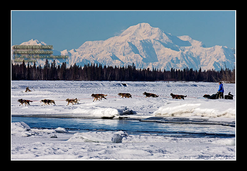 Ray Redington Jr. Iditarod