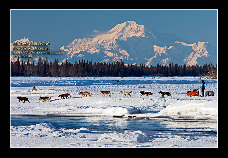Robert Redington Iditarod