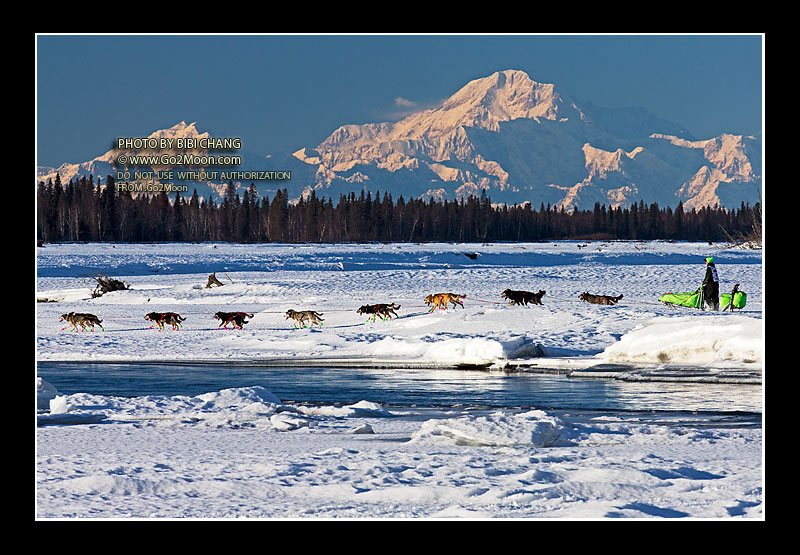 Ryan Redington Iditarod