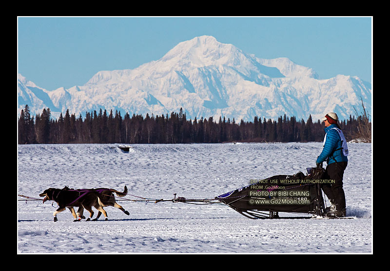 Jessie Royer Iditarod