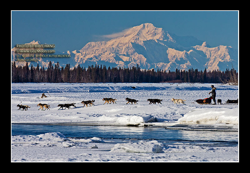 Justin Savidis Iditarod