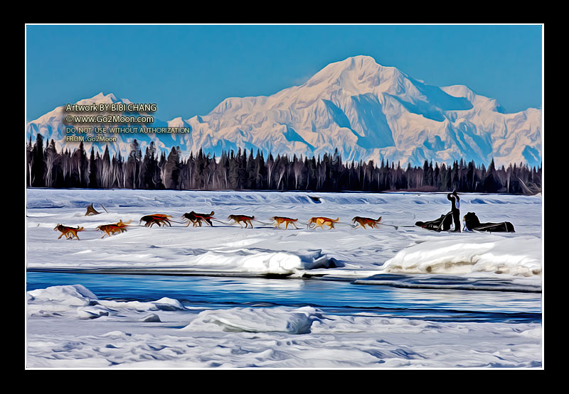 Dallas Seavey Iditarod