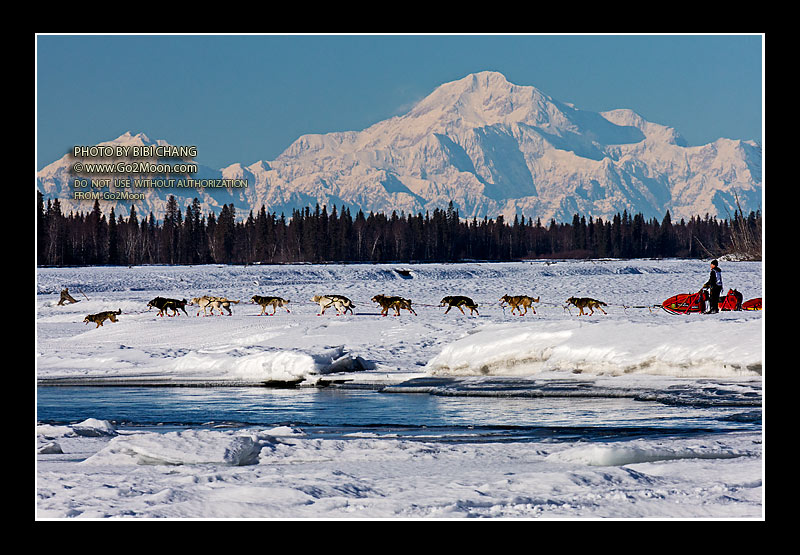 Mitch Seavey Iditarod