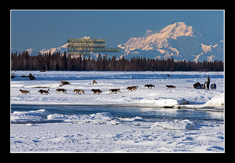 Scott Smith Iditarod