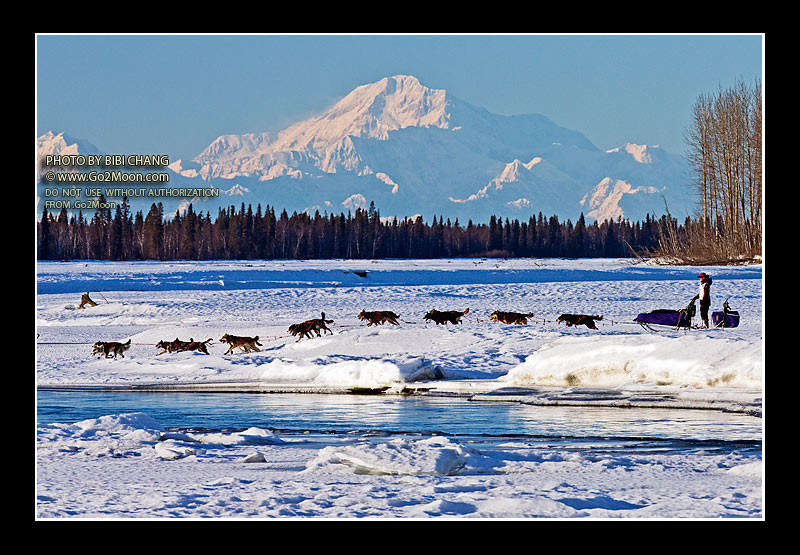 Sarah Stockey Iditarod