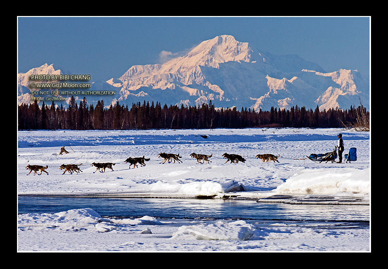 Cody Strathe Iditarod