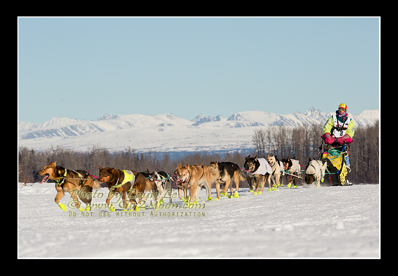 Monica Zappa Iditarod