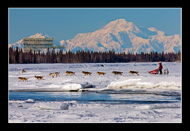 Aliy Zirkle Iditarod