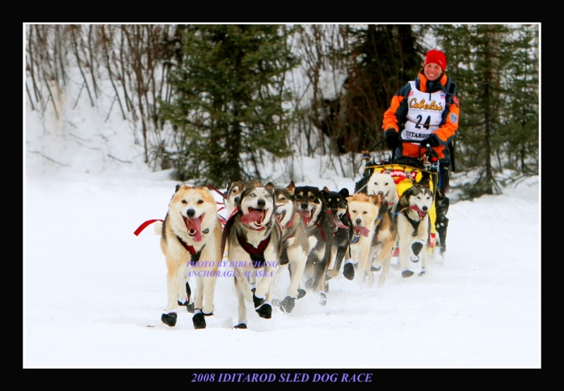 Iditarod