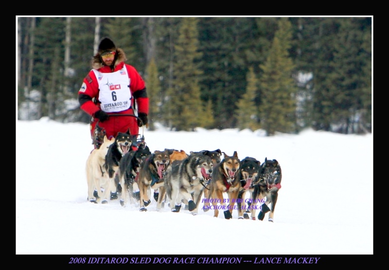 Iditarod Lance Mackey