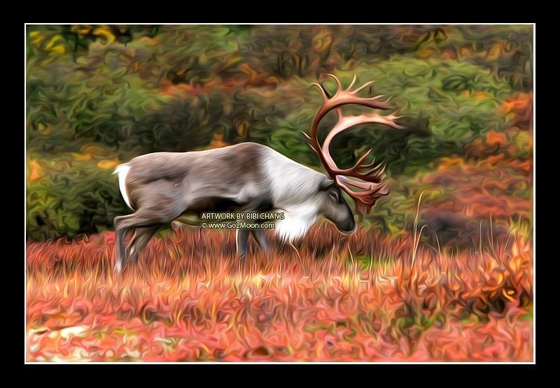 Caribou Oil Painting